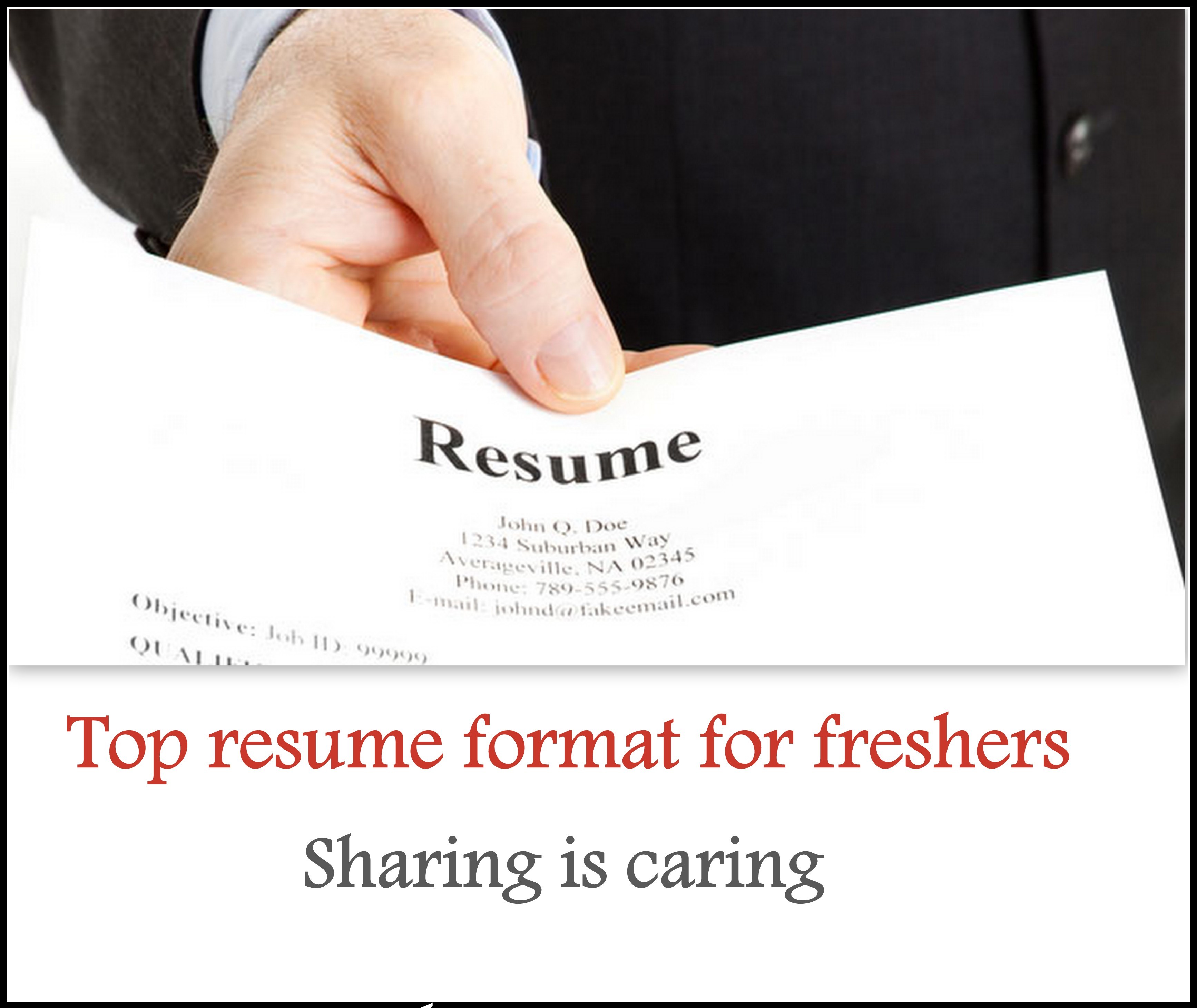 cv-and-resume-sample-freshers-resume-formats